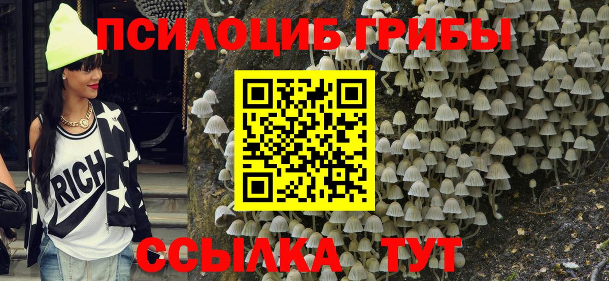 Галлюциногенные грибы мицелий Карачаевск