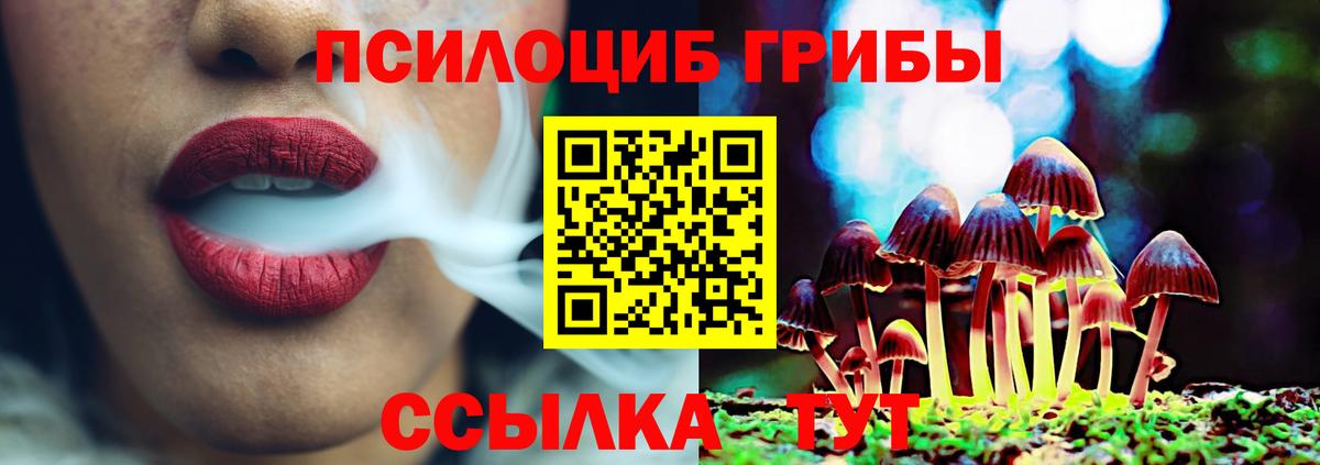 Карачаевск  Псилоцибиновые грибы мицелий  Галлюциногенные грибы мухоморы  Вход с VPN 